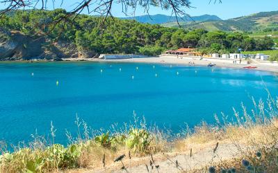 Crique de paulilles camping le florida